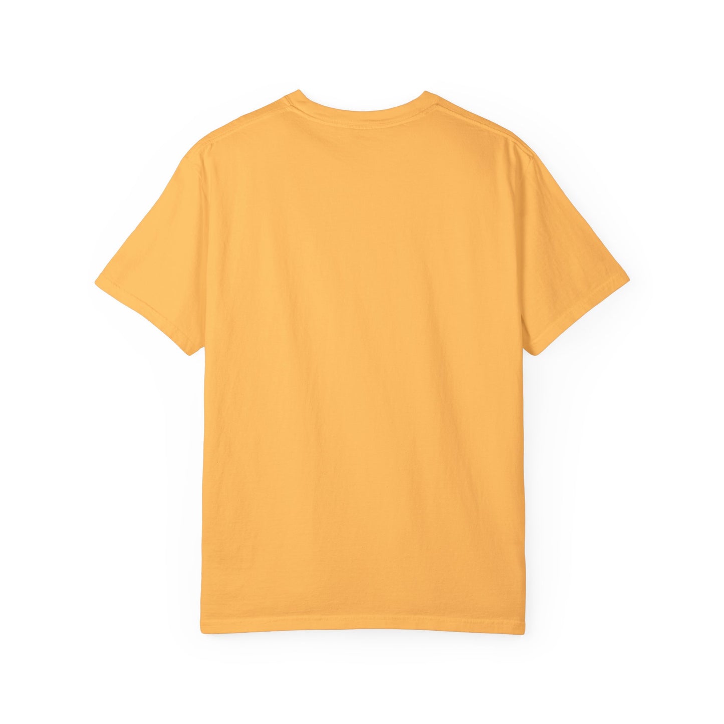Comfort Colors® Cute T-shirt for Girls, Country Summer Horse Lover T-shirt - Girl's Equestrian Apparel Gift