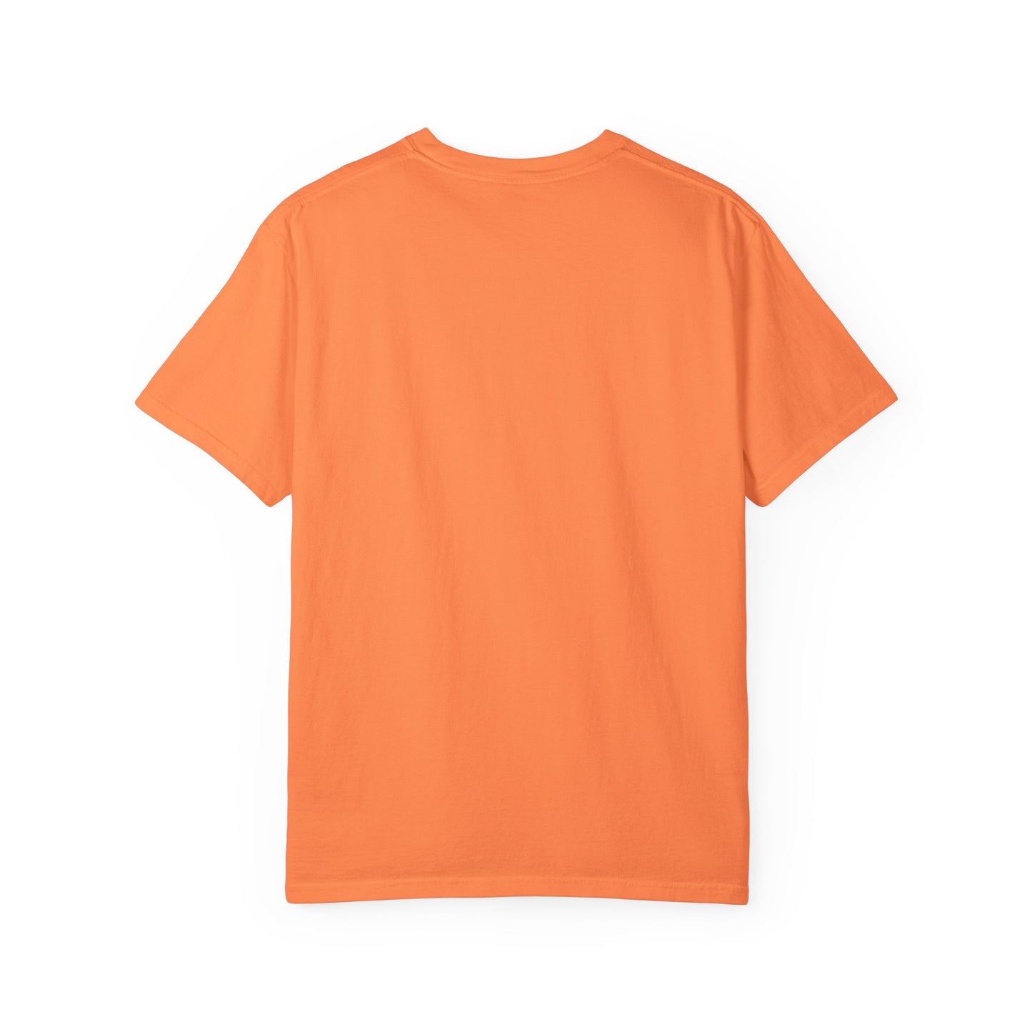 Comfort Colors® Cute T-shirt for Girls, Country Summer Horse Lover T-shirt - Girl's Equestrian Apparel Gift
